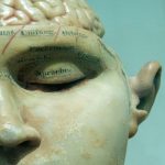 brain